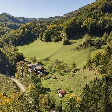 Apartman Urlaub Mitten Im Wald - Lueg