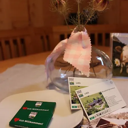 Urlaub Mitten Im Wald - Lueg Apartman