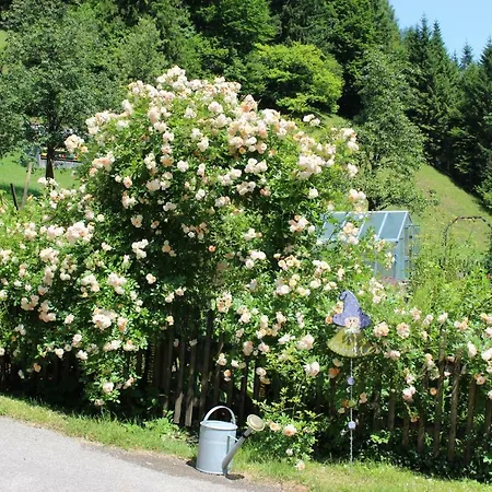 Urlaub Mitten Im Wald - Lueg Apartament *