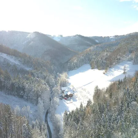 Διαμέρισμα Urlaub Mitten Im Wald - Lueg Scheibbs