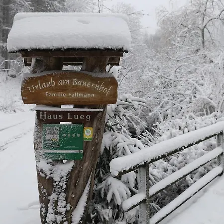 Urlaub Mitten Im Wald - Lueg Apartman Scheibbs