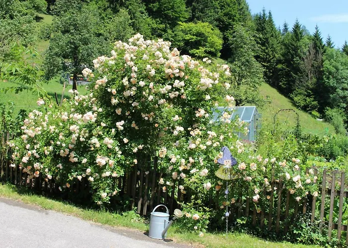 Urlaub Mitten Im Wald - Lueg דירה *