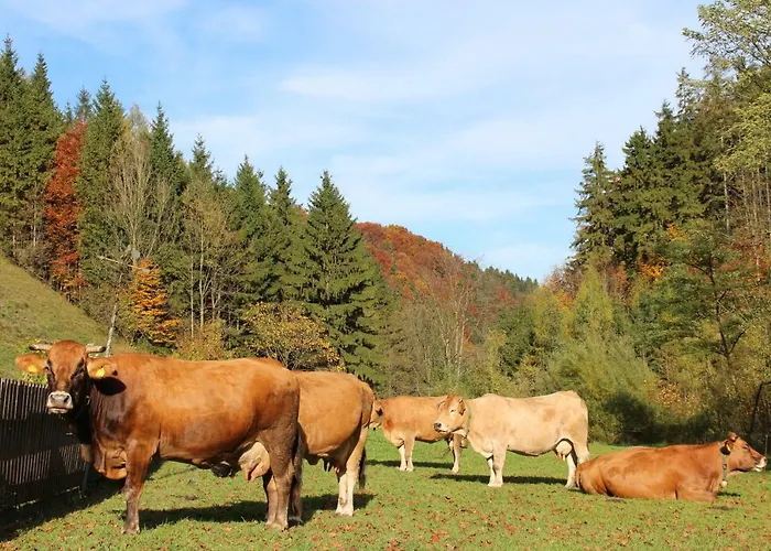 Urlaub Mitten Im Wald - Lueg Апартаменты