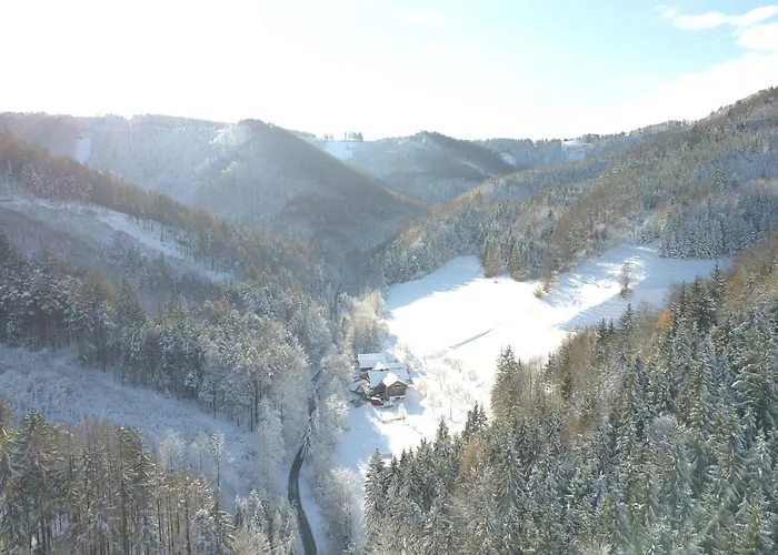 Διαμέρισμα Urlaub Mitten Im Wald - Lueg Scheibbs