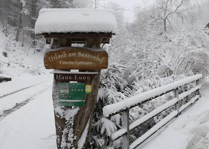 Urlaub Mitten Im Wald - Lueg Апартаменты Scheibbs